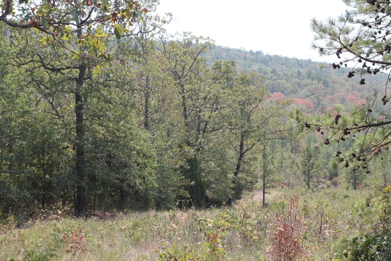 Lake View Ranch Tract 1 photo 2