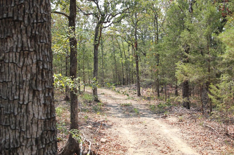 Lake View Ranch Tract 1 photo 3