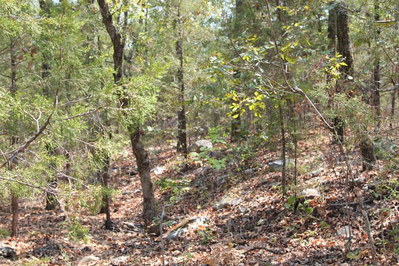Lake View Ranch Tract 1 photo 4