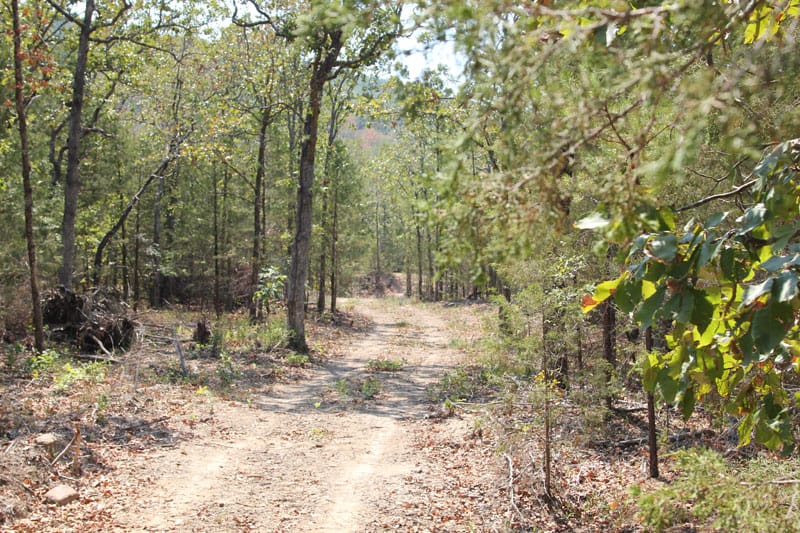 Lake View Ranch Tract 1 photo 5