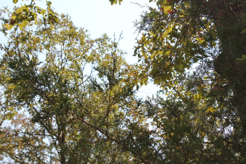 Lake View Ranch Tract 1 photo 6