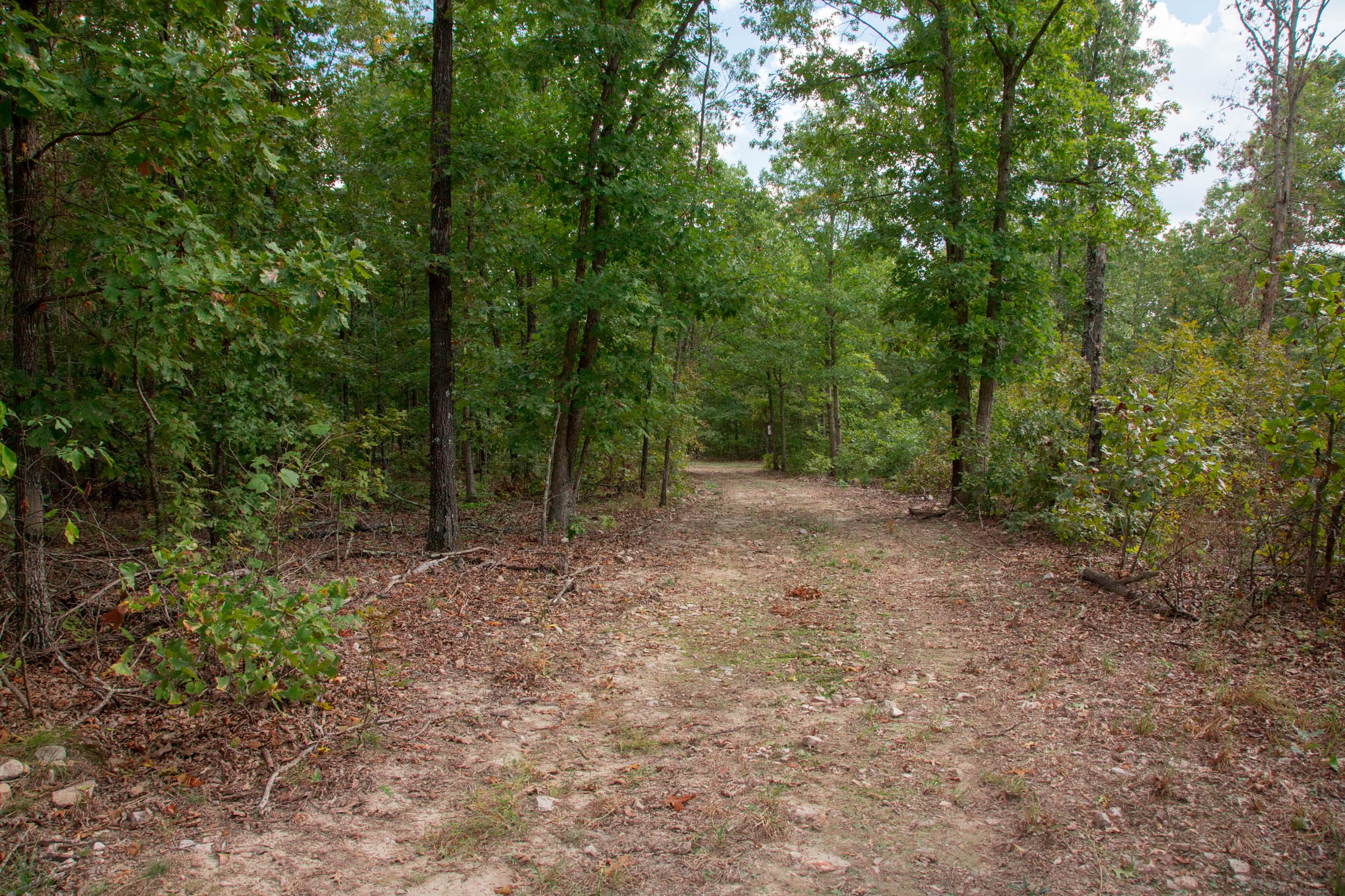 Wagon Wheel Ranch Tract 16 photo 2