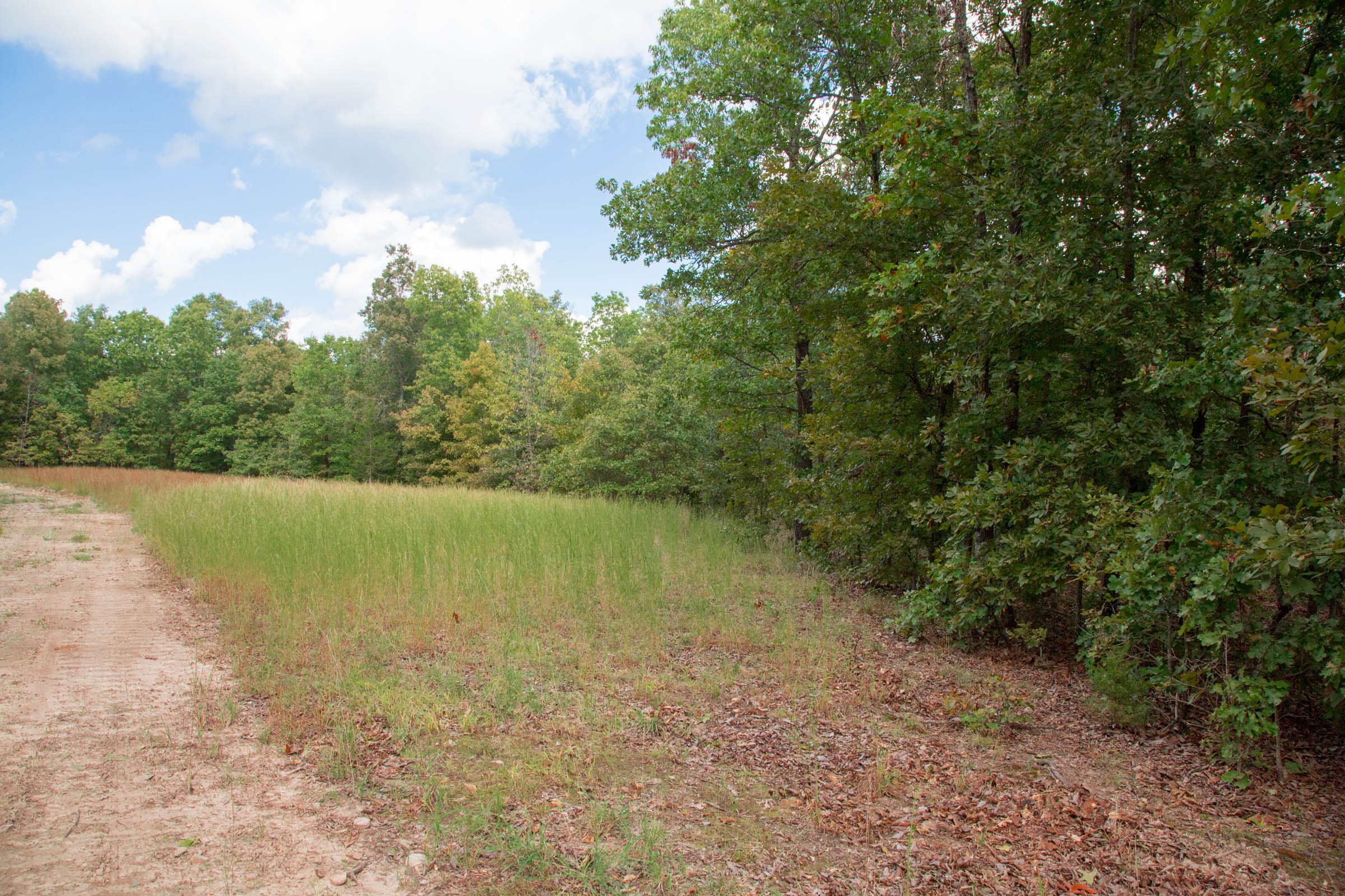 Wagon Wheel Ranch Tract 16 photo 4
