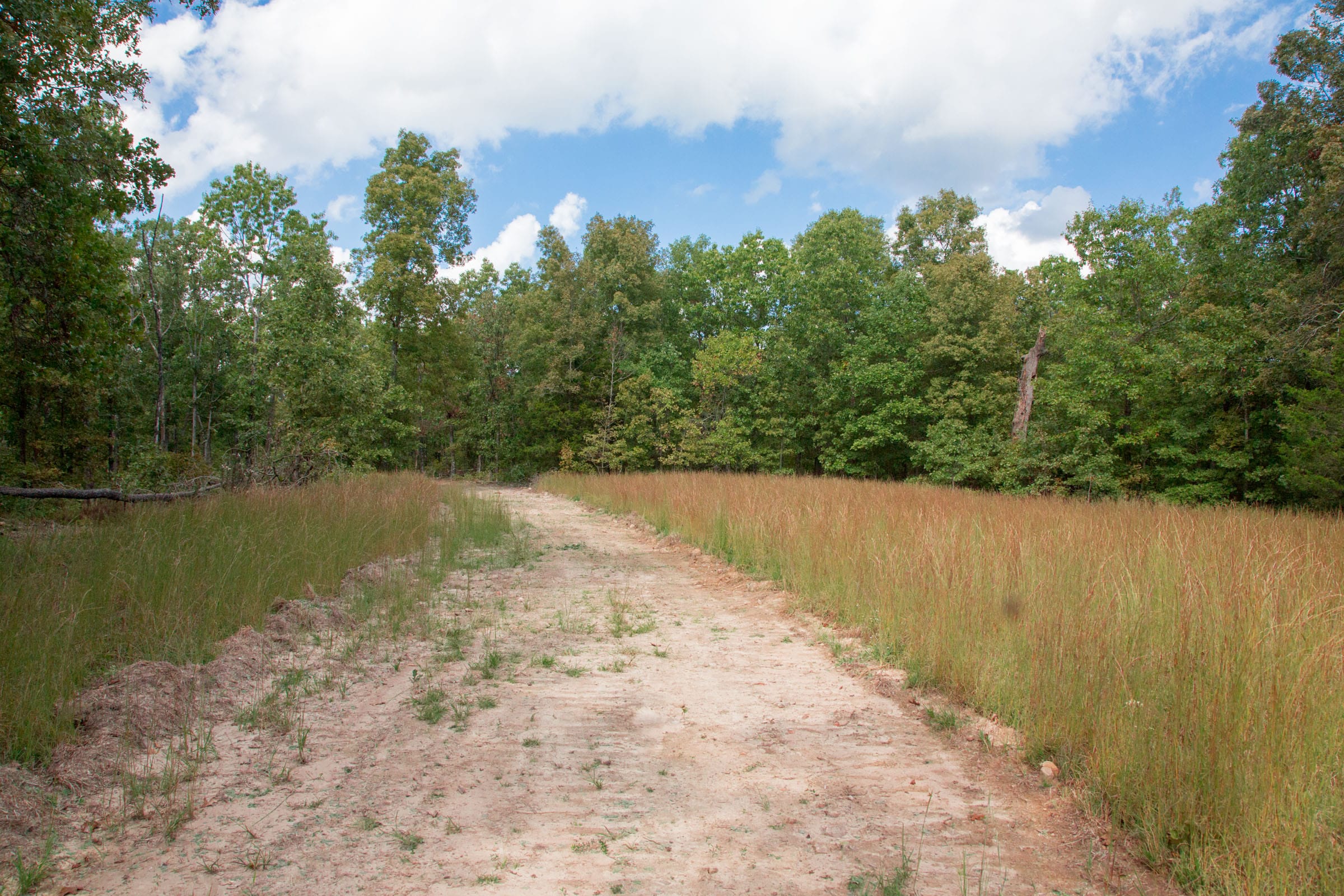 Wagon Wheel Ranch Tract 16 photo 5