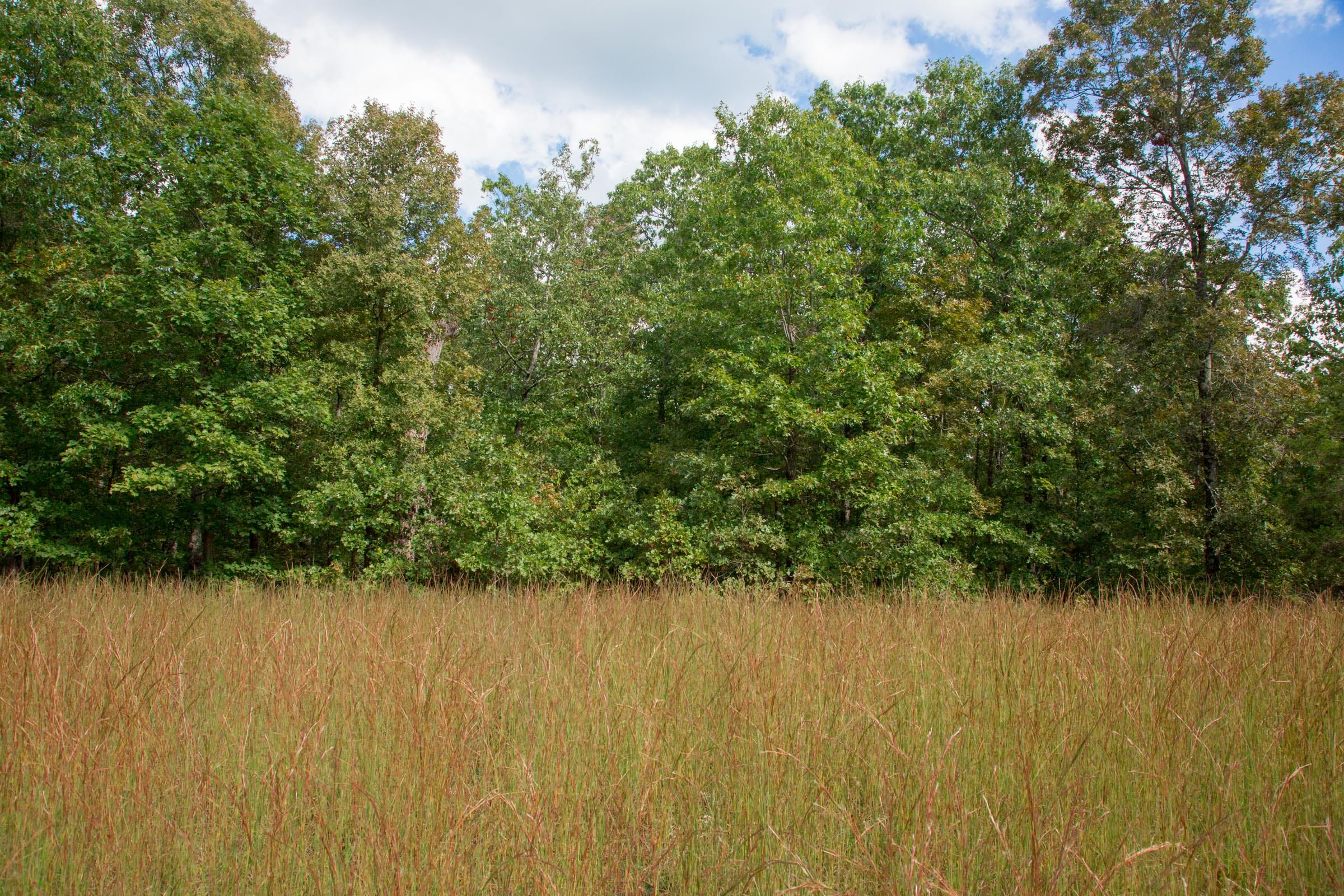 Wagon Wheel Ranch Tract 16 photo 1