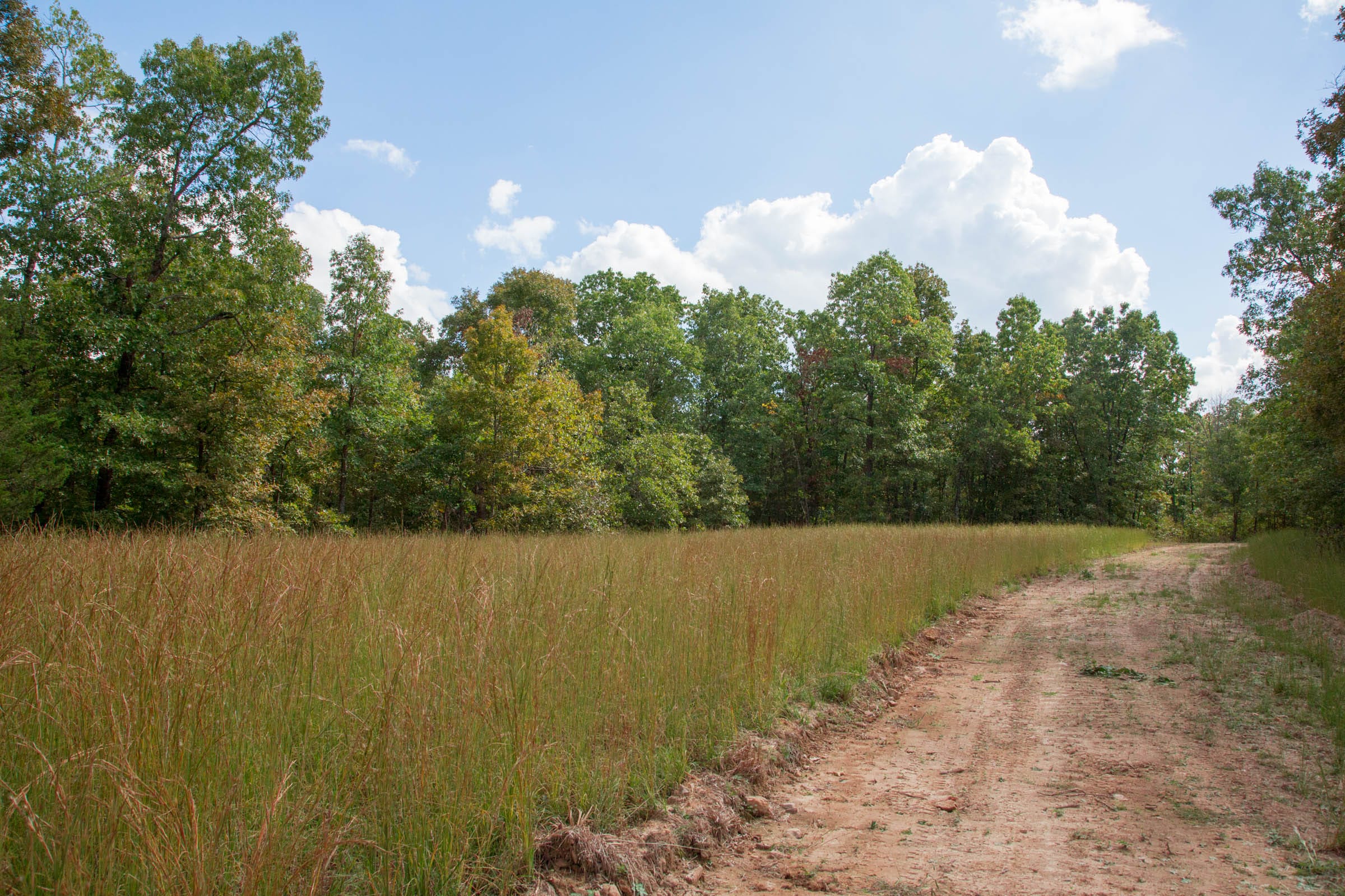 Wagon Wheel Ranch Tract 16 photo 6
