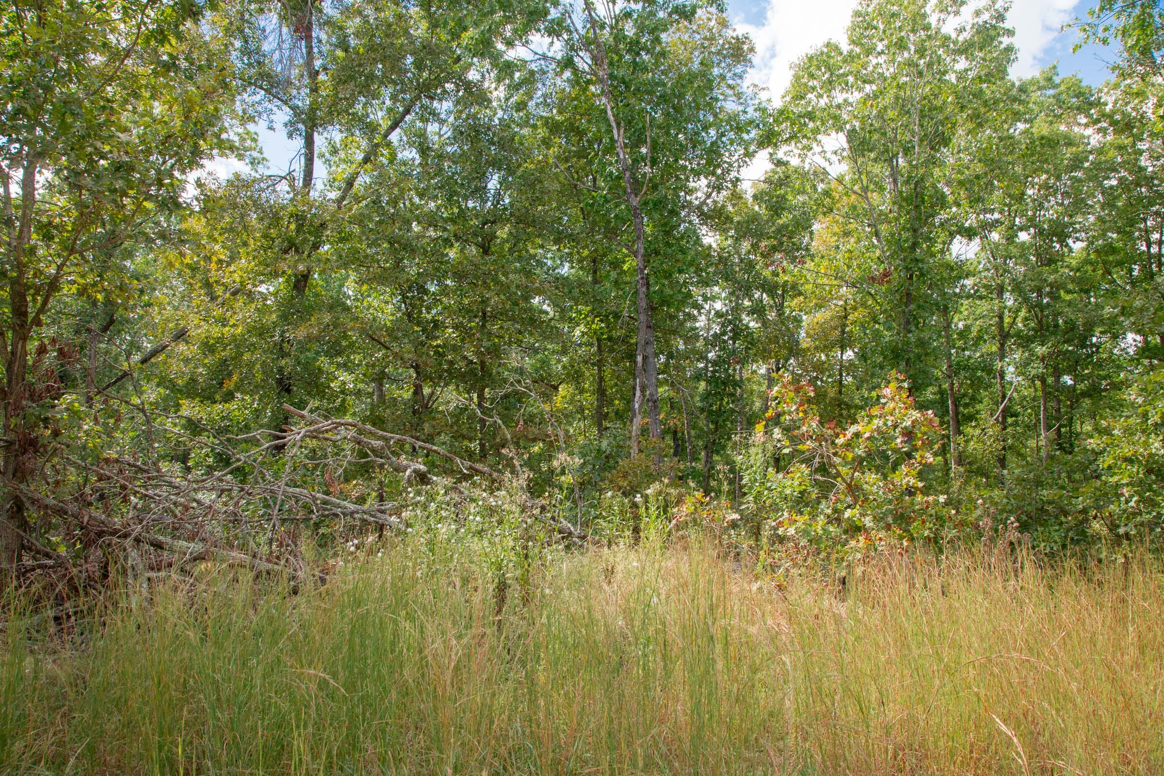 Wagon Wheel Ranch Tract 16 photo 7