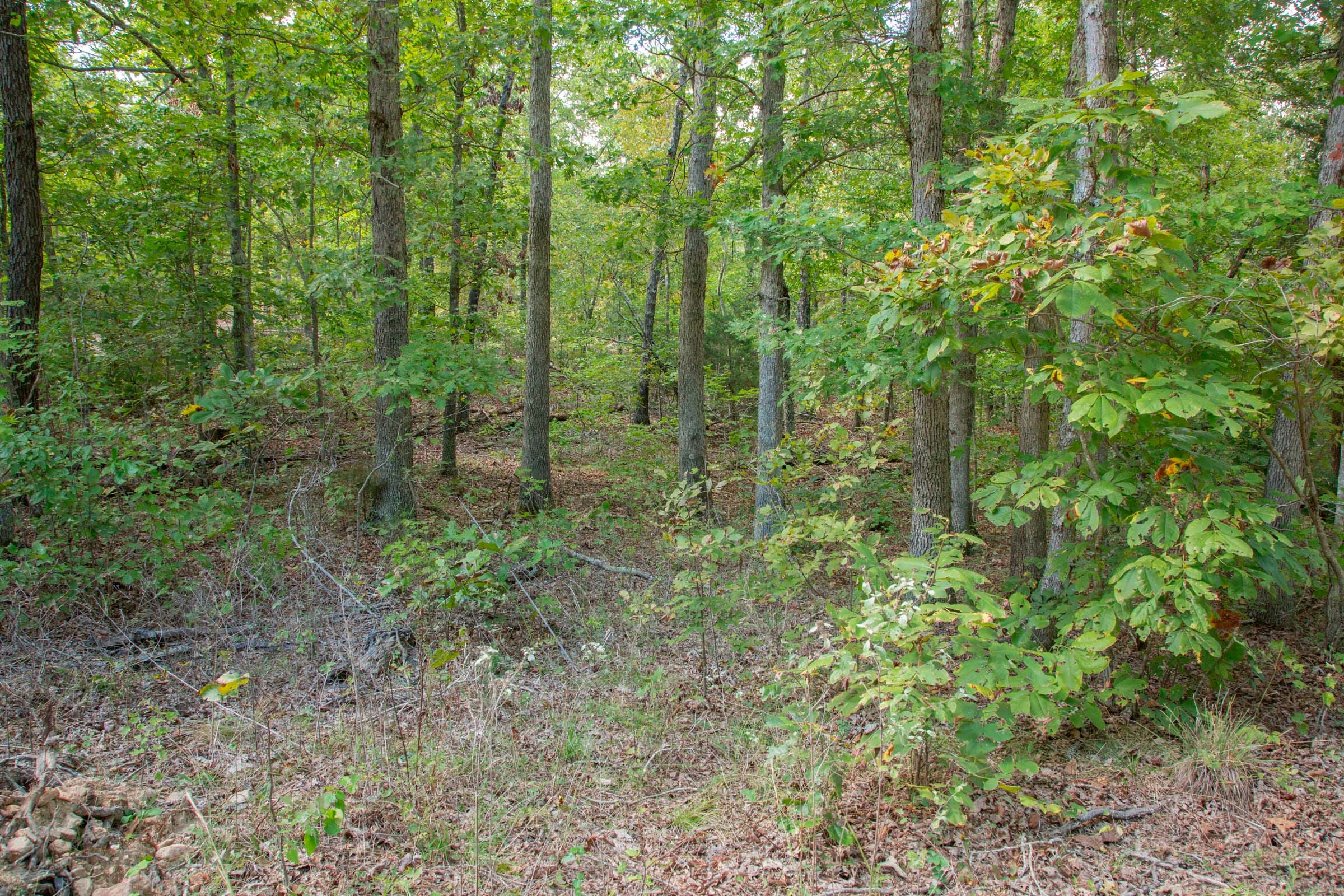 Wagon Wheel Ranch Tract 16 photo 8