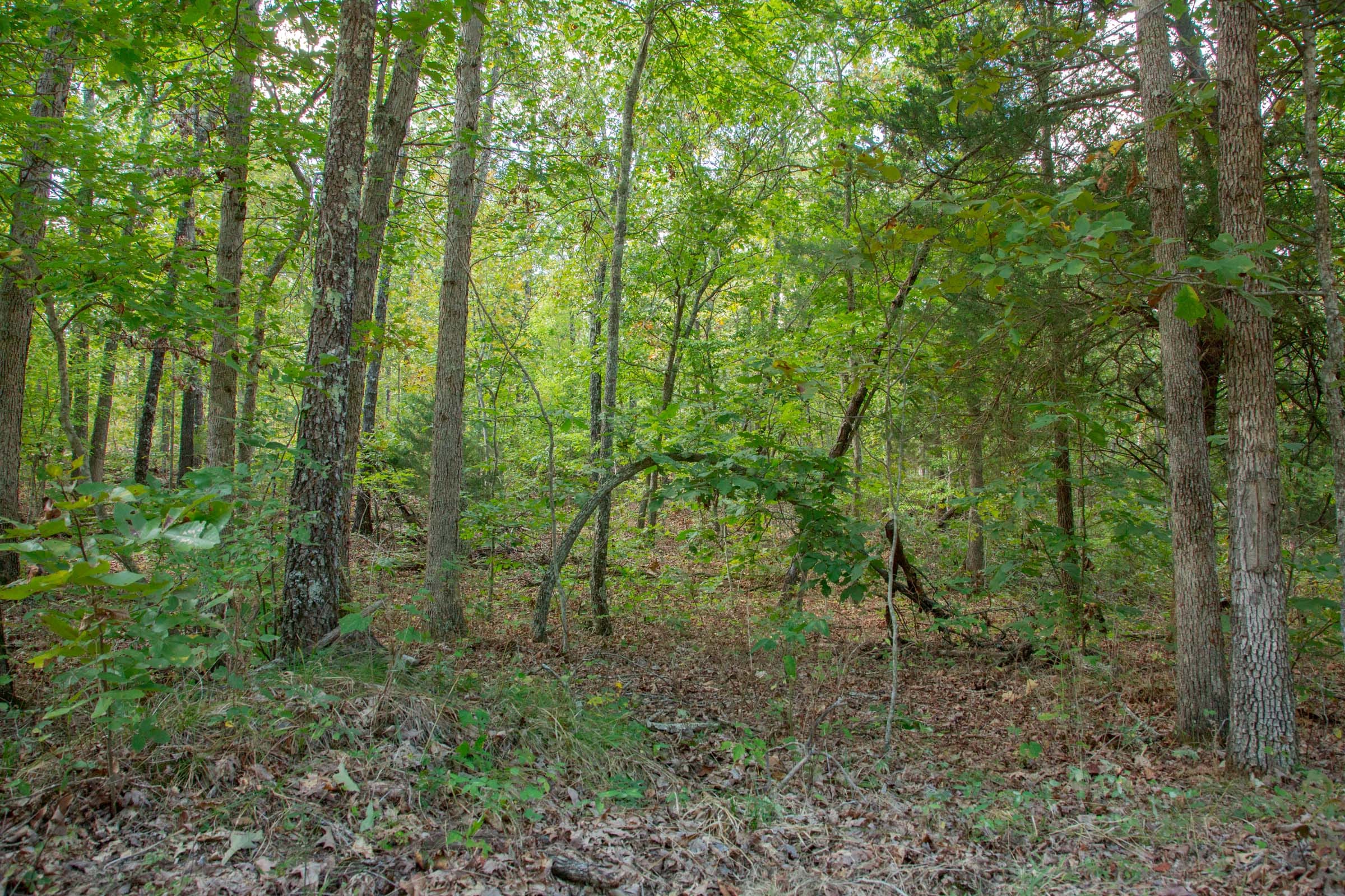 Wagon Wheel Ranch Tract 16 photo 9