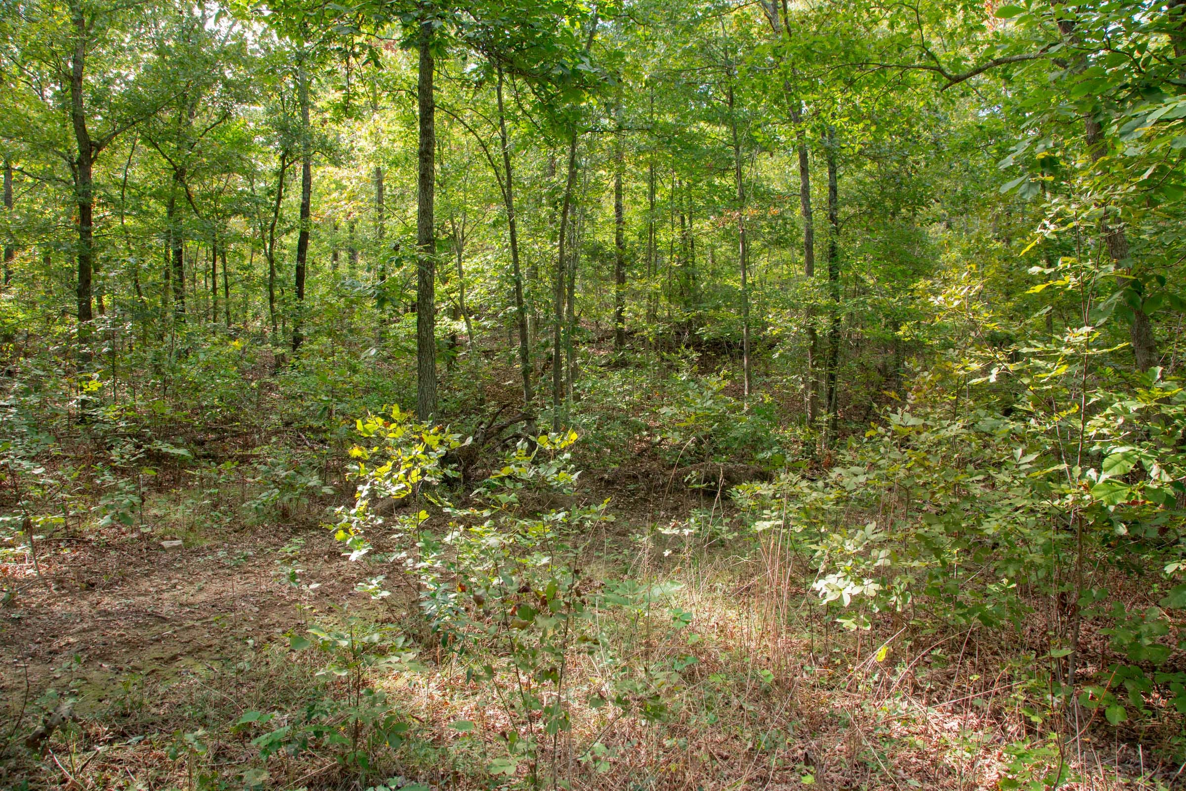 Wagon Wheel Ranch Tract 16 photo 11