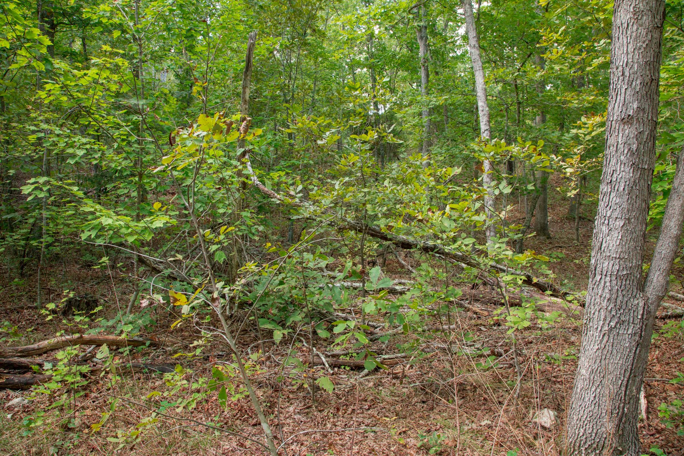 Wagon Wheel Ranch Tract 16 photo 12