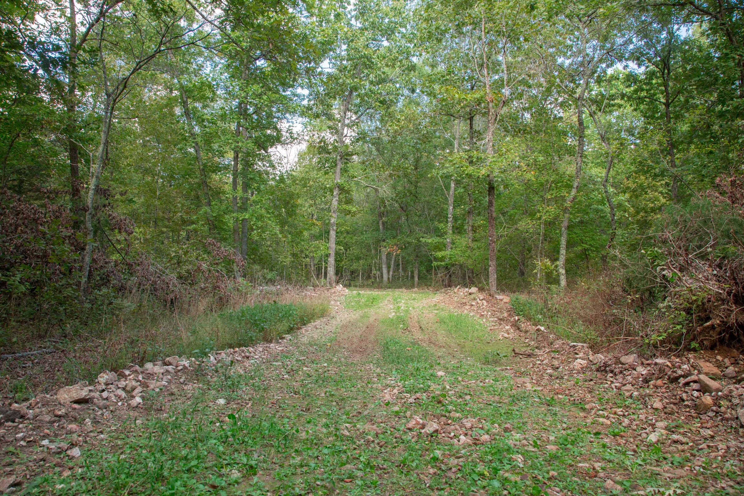 Wagon Wheel Ranch Tract 16 photo 10