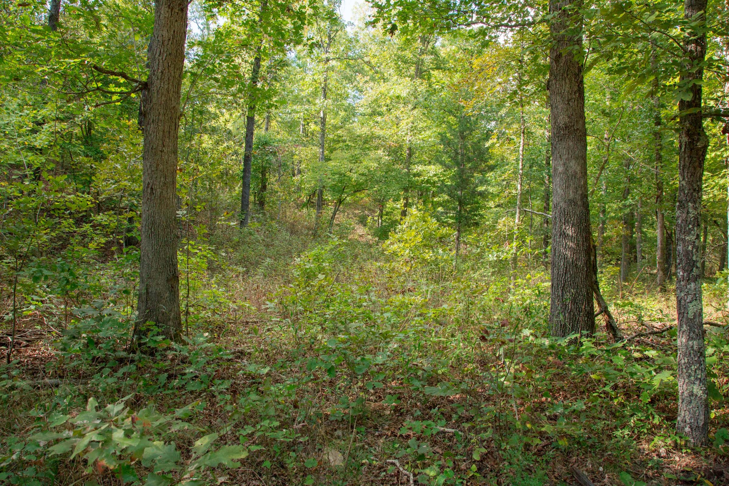 Wagon Wheel Ranch Tract 16 photo 14