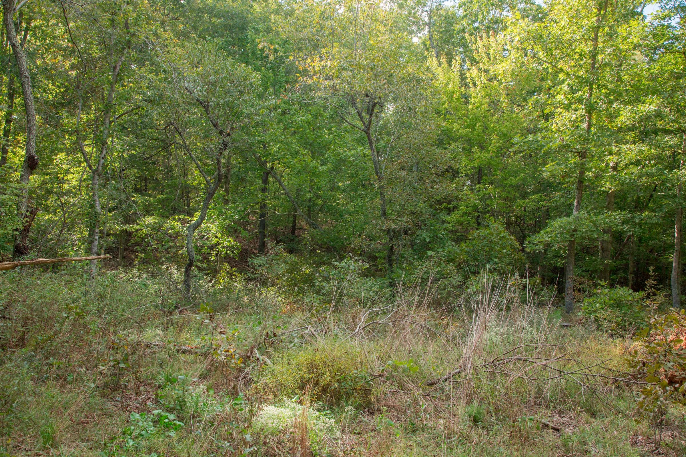 Wagon Wheel Ranch Tract 16 photo 15