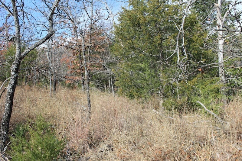Indian Ridge – Phase I Tract 6 photo 1