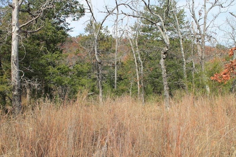 Indian Ridge – Phase I Tract 6 photo 2