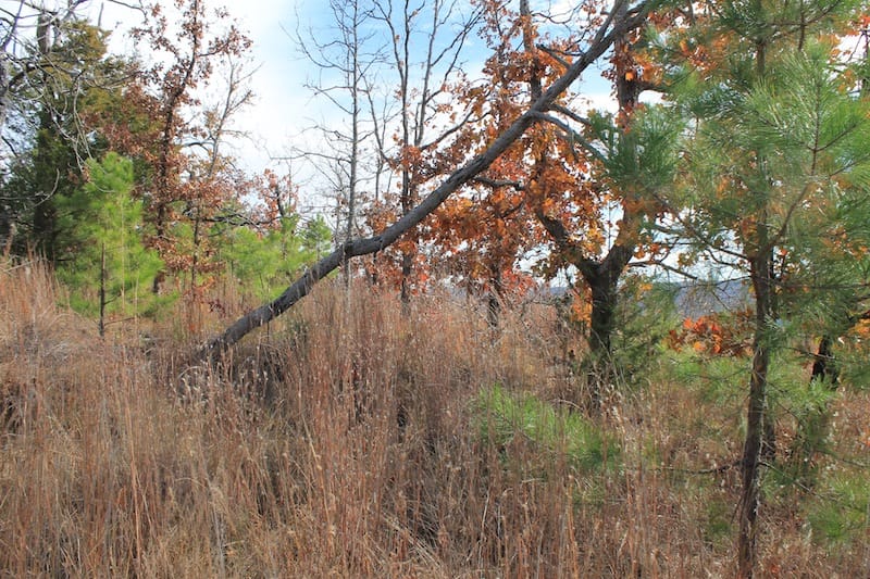 Indian Ridge – Phase I Tract 6 photo 3