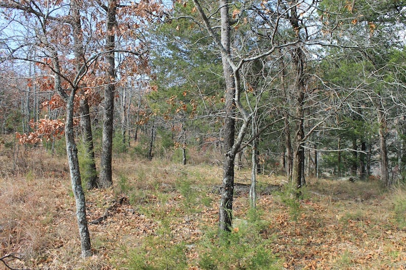 Indian Ridge – Phase I Tract 6 photo 4