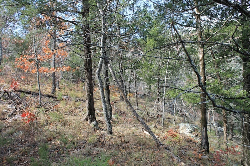 Indian Ridge – Phase I Tract 6 photo 5