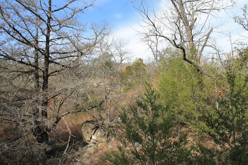 Indian Ridge – Phase I Tract 6 photo 8