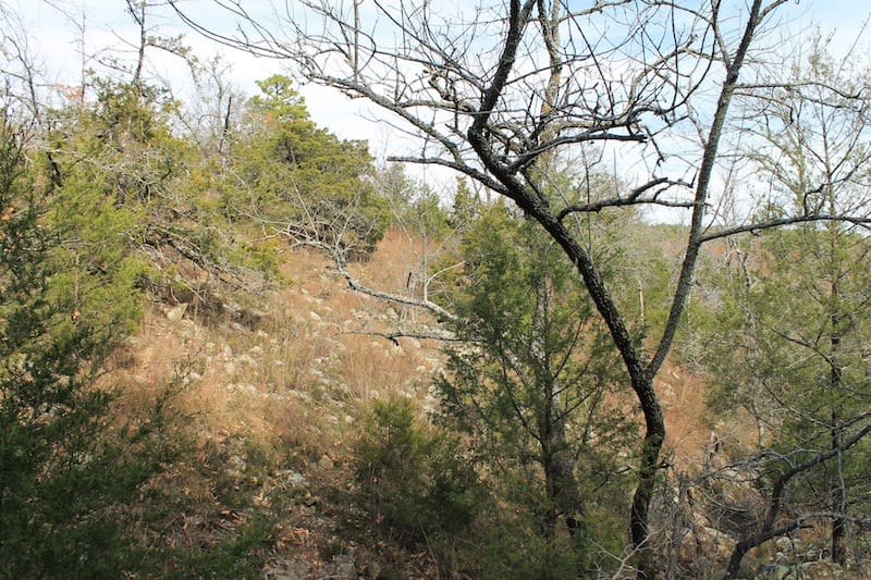 Indian Ridge – Phase I Tract 6 photo 9