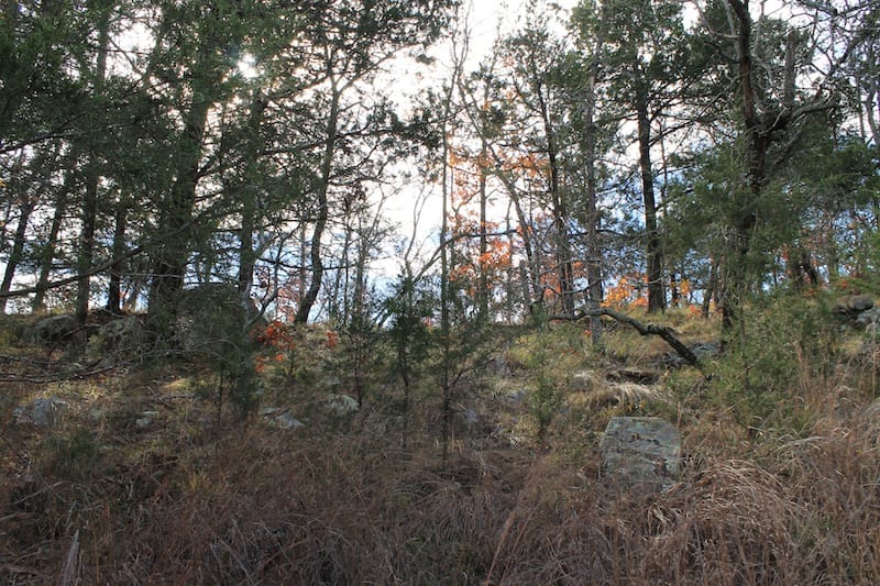 Indian Ridge – Phase I Tract 6 photo 11
