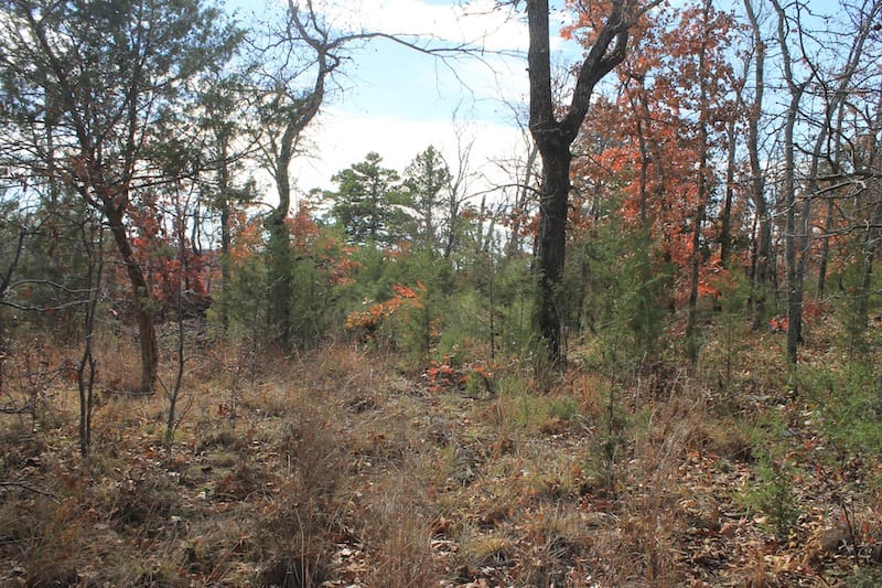 Indian Ridge – Phase I Tract 6 photo 12