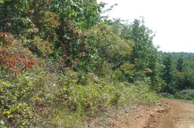 Sugartree Falls Tract 33 photo 1