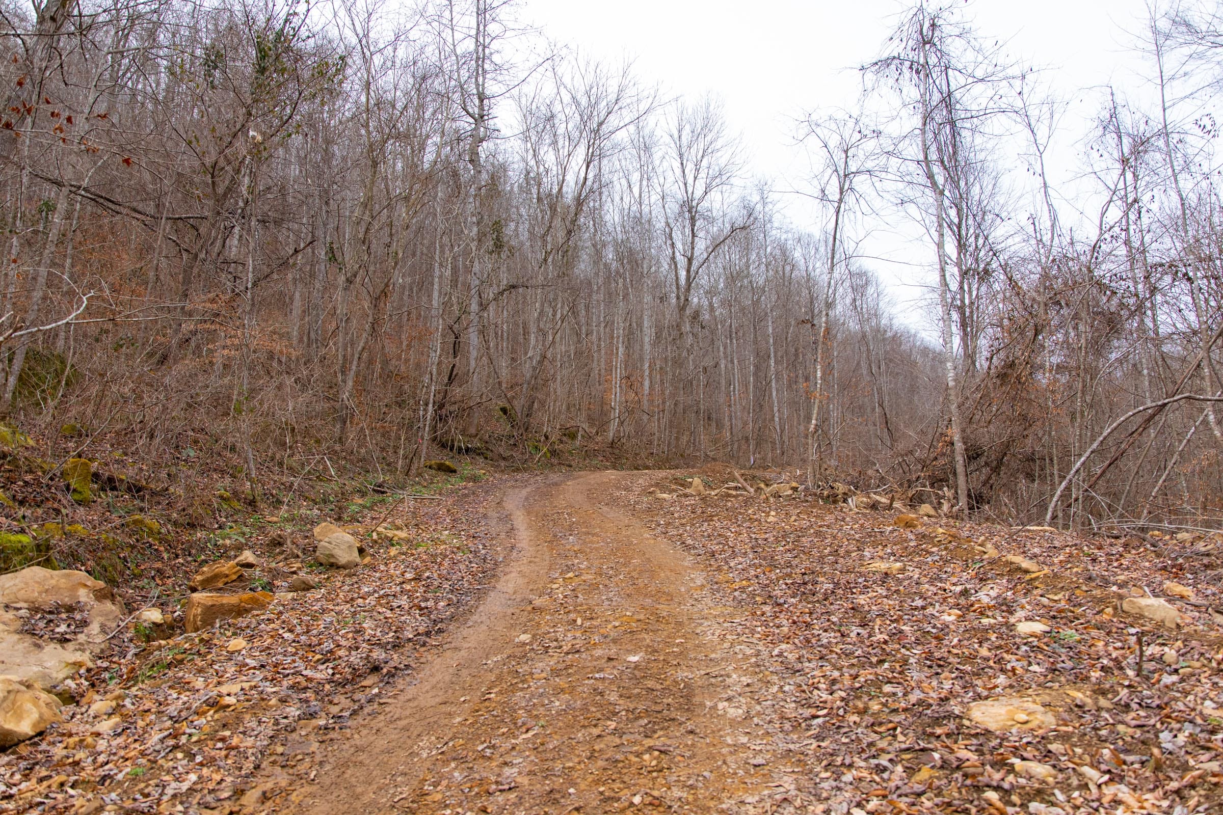 Blackstone Mountain Phase I Tract 44 photo 1