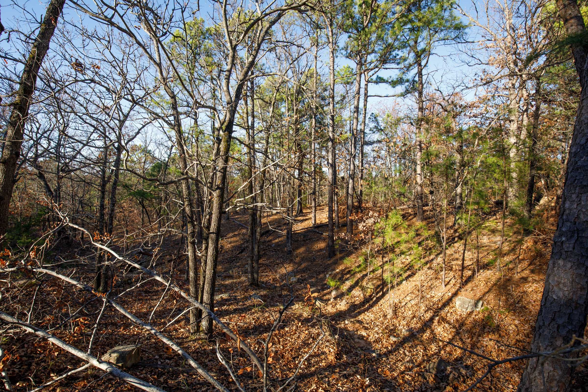 Stone Bridge Phase II Tract 85 photo 3