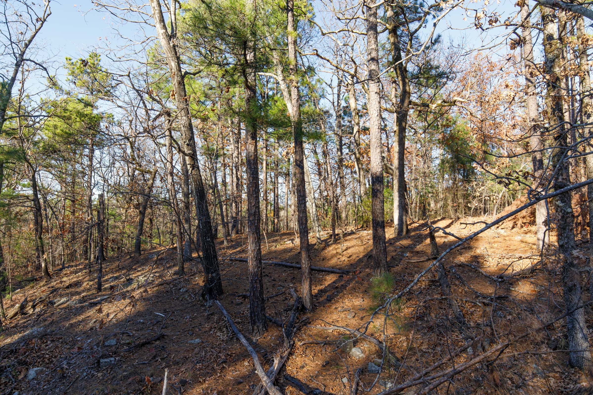 Stone Bridge Phase II Tract 85 photo 5