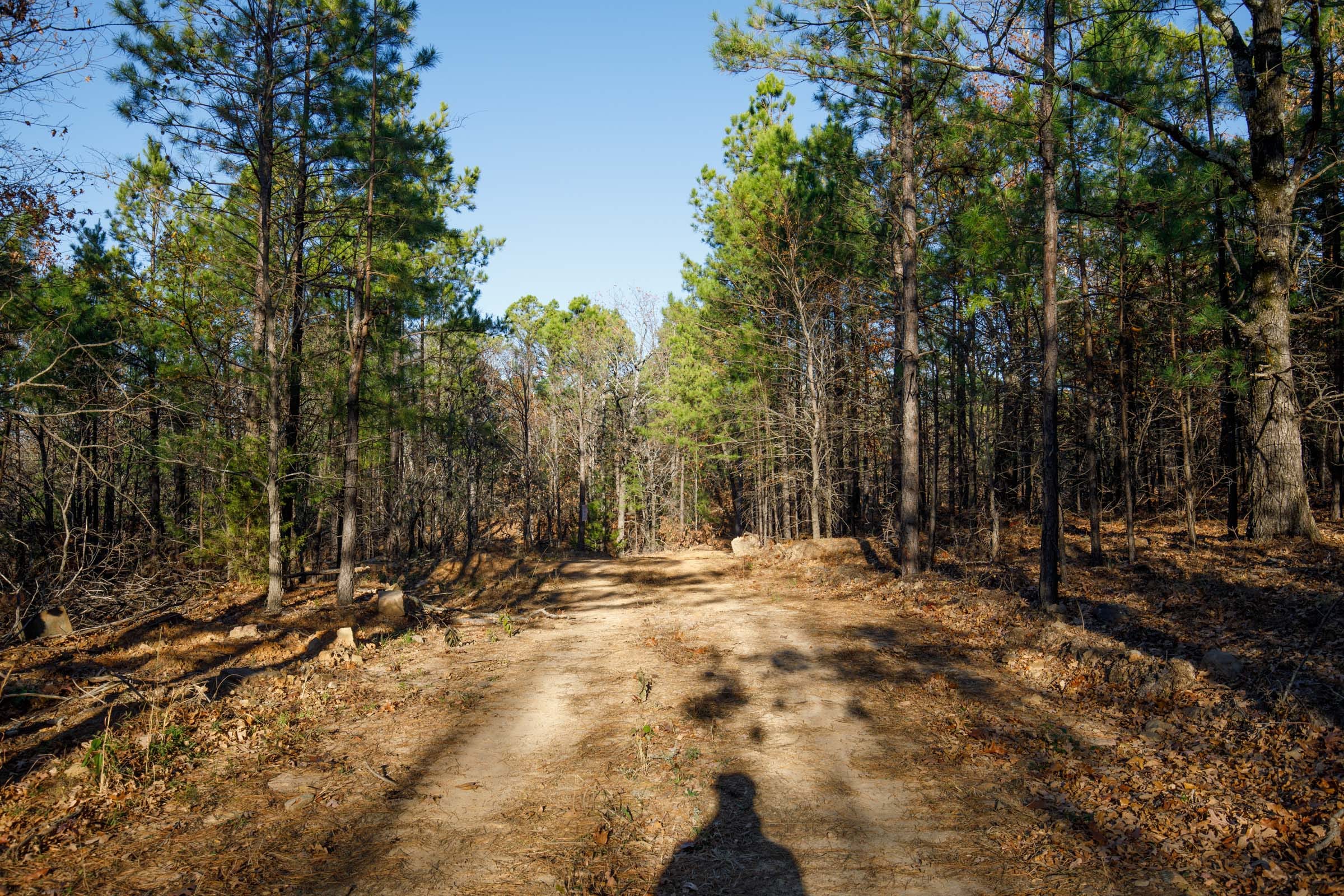 Stone Bridge Phase II Tract 85 photo 1