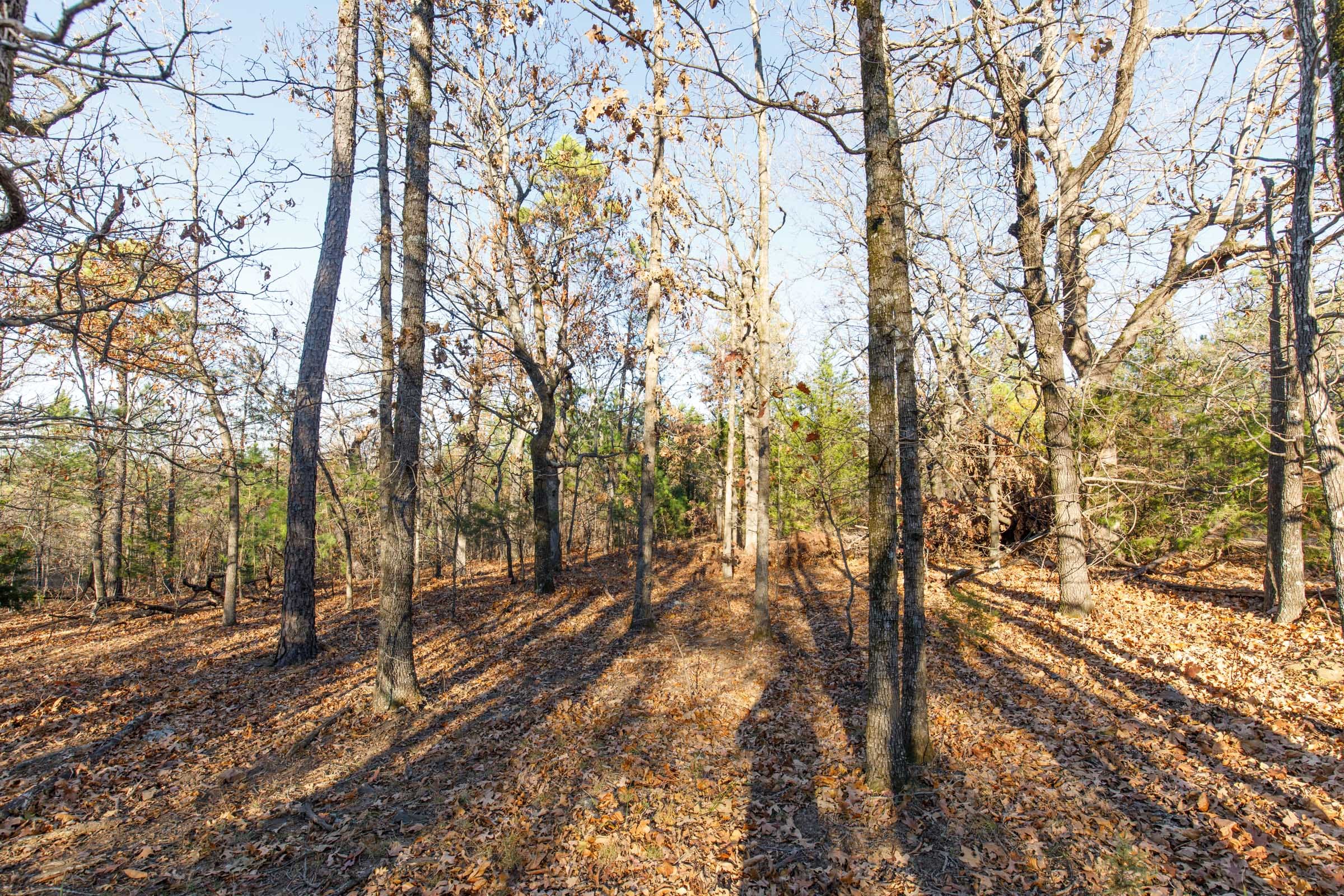 Stone Bridge Phase II Tract 85 photo 10