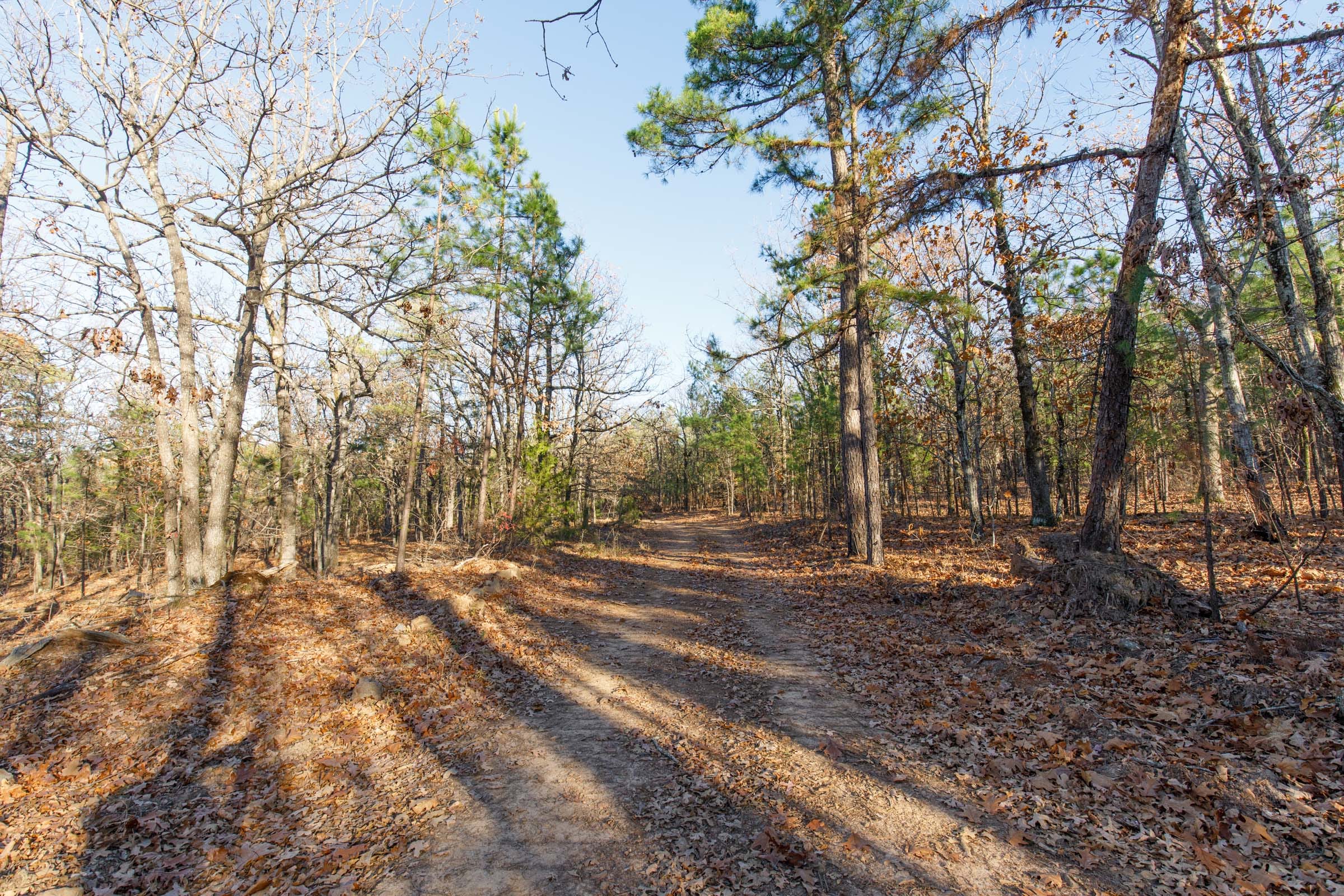 Stone Bridge Phase II Tract 85 photo 8