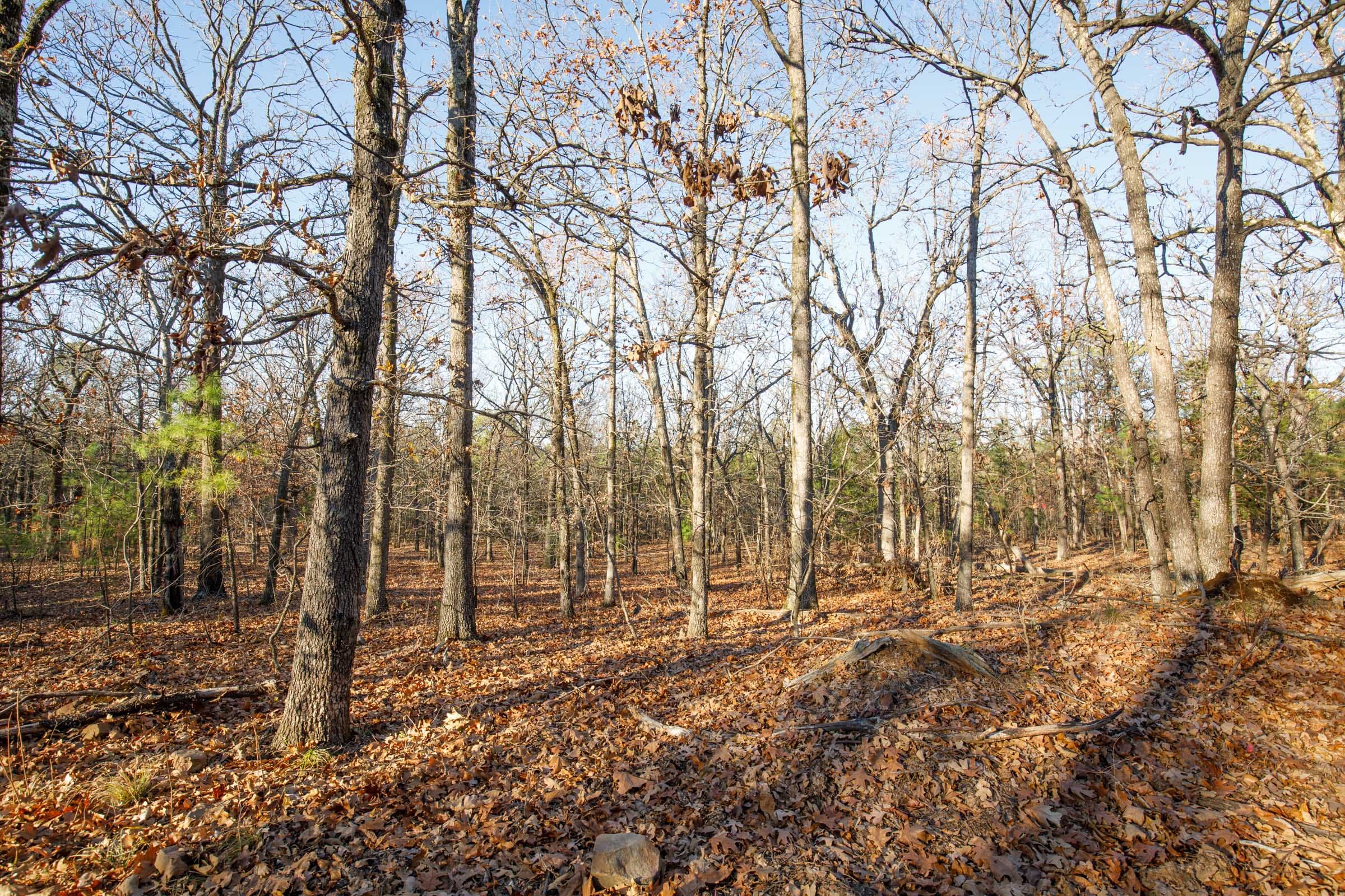Stone Bridge Phase II Tract 85 photo 14
