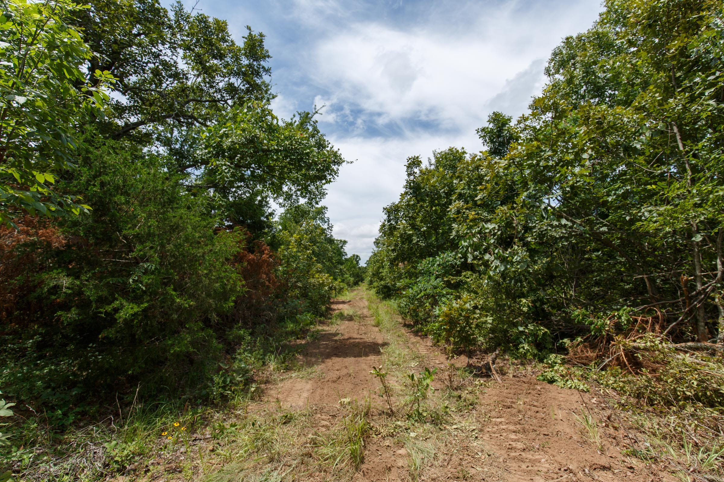 Timber Ridge Tract 12 photo 1