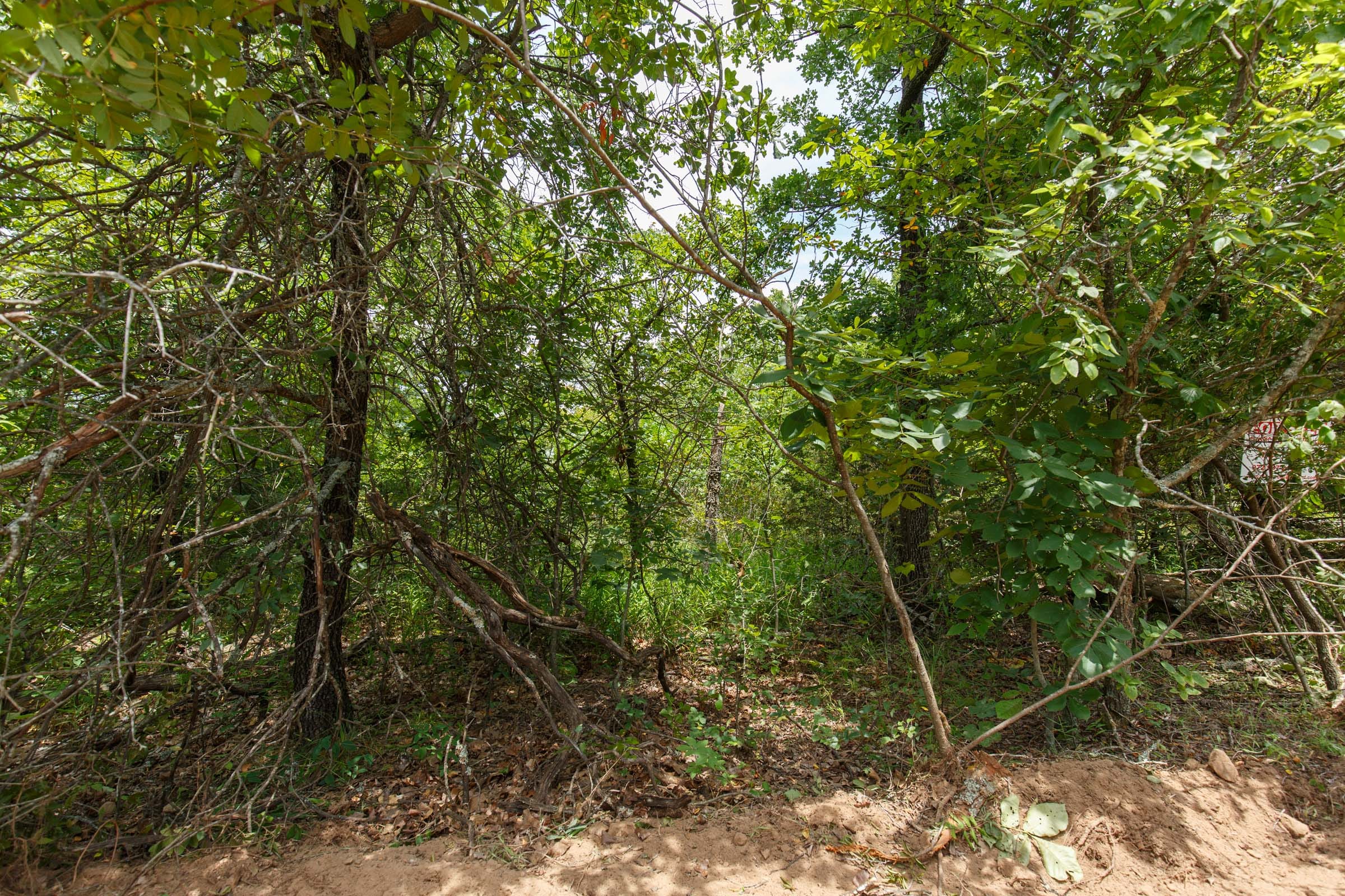 Timber Ridge Tract 12 photo 2