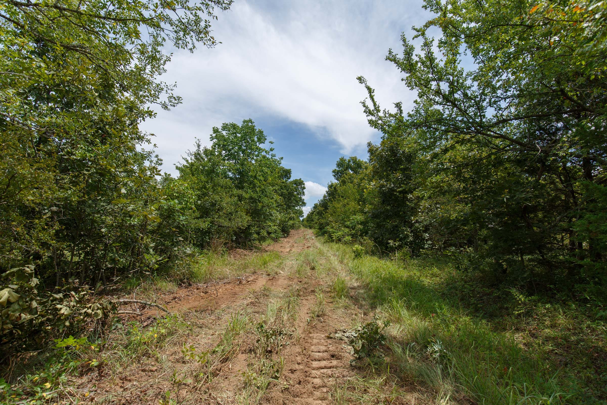 Timber Ridge Tract 12 photo 3