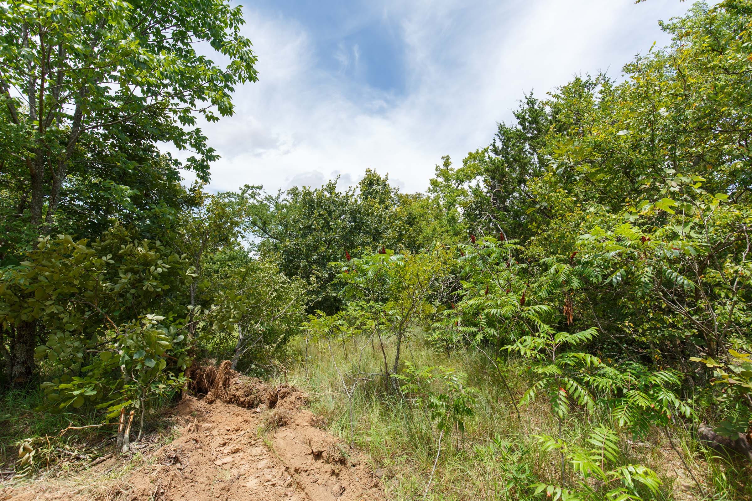 Timber Ridge Tract 12 photo 5