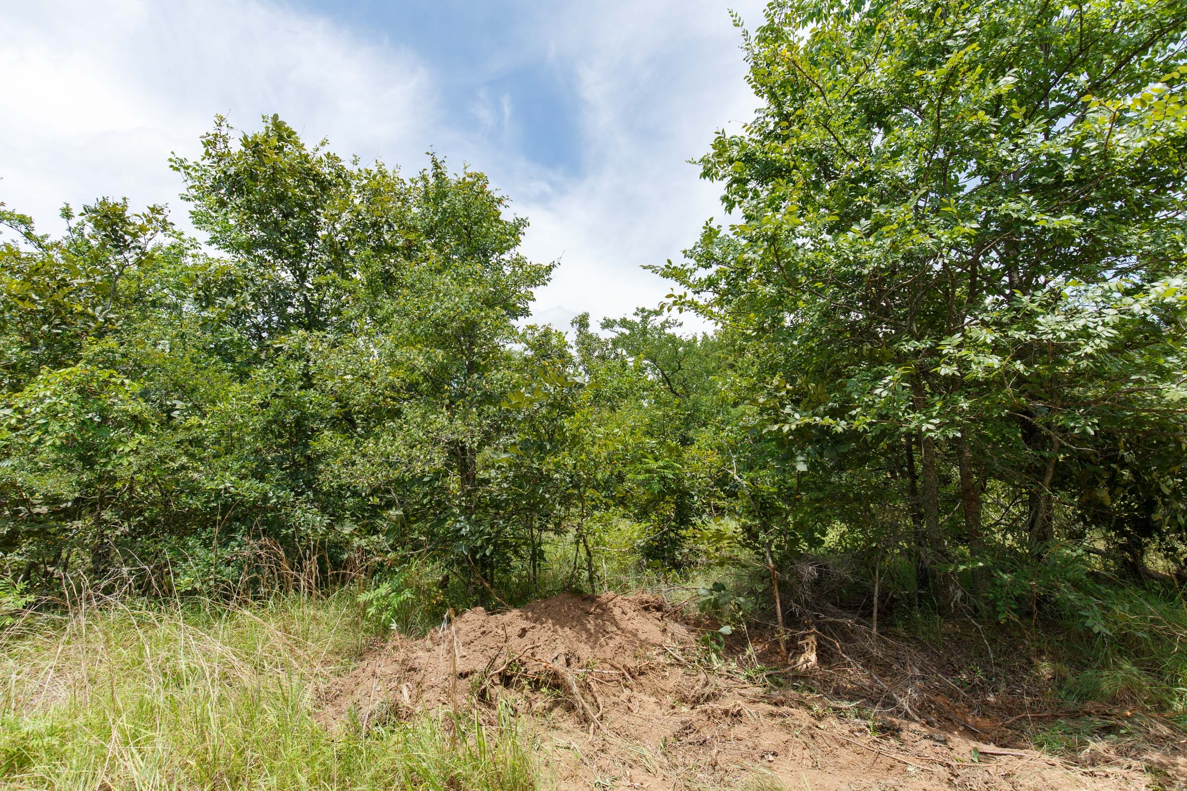 Timber Ridge Tract 12 photo 6