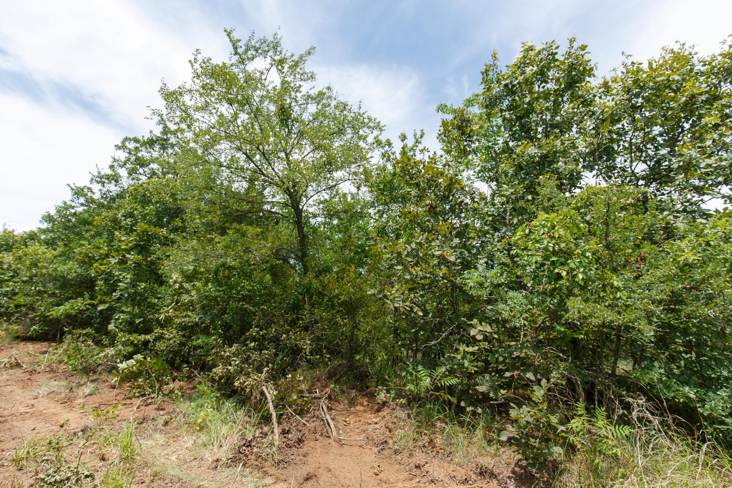 Timber Ridge Tract 12 photo 7