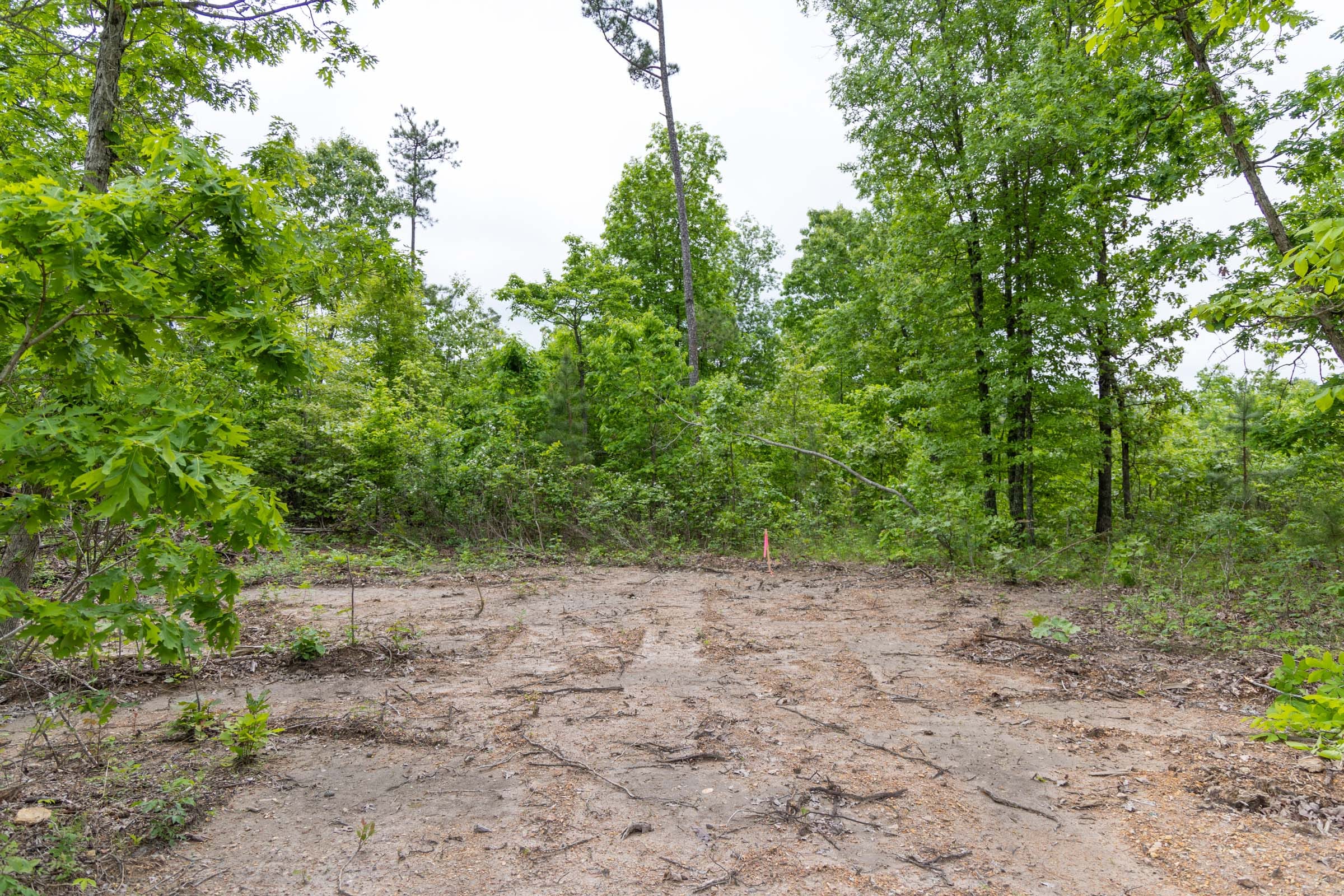 Sleepy Hollow Phase II Tract 89 photo 15