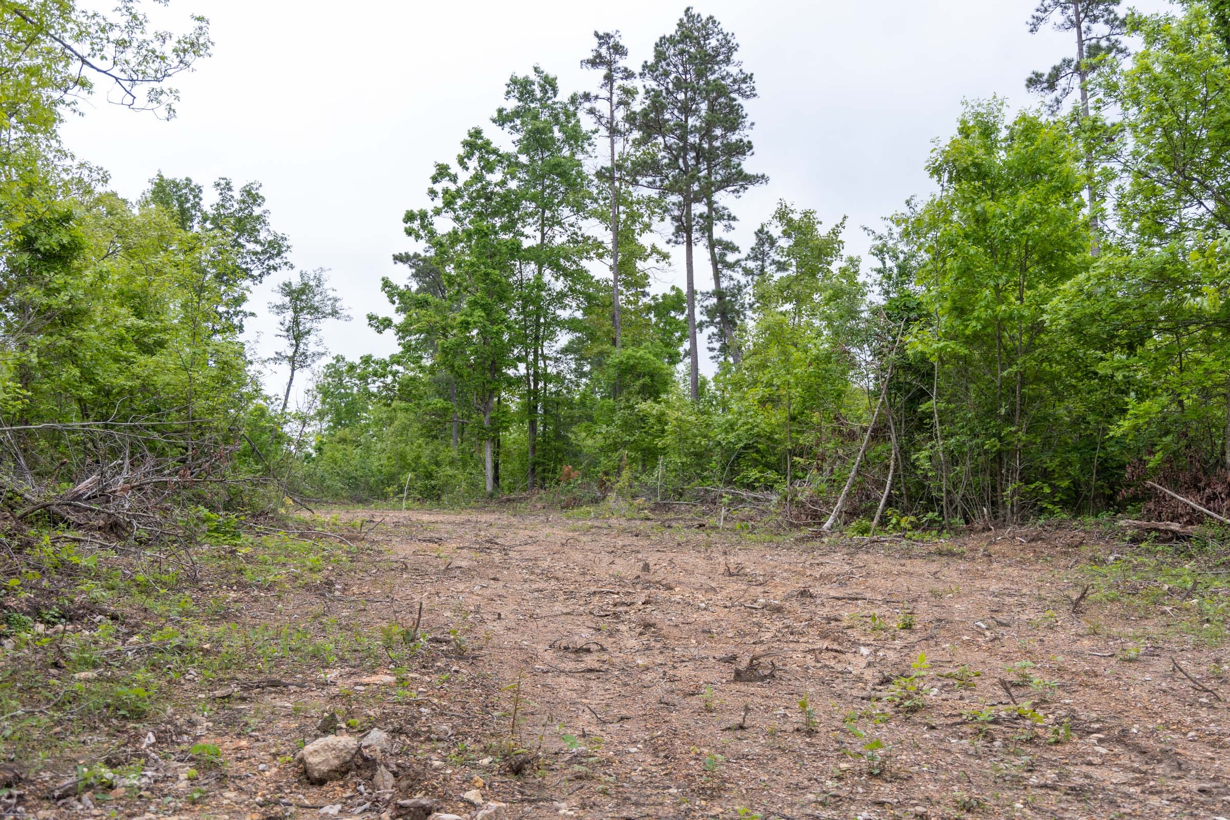 Sleepy Hollow Phase II Tract 89 photo 13