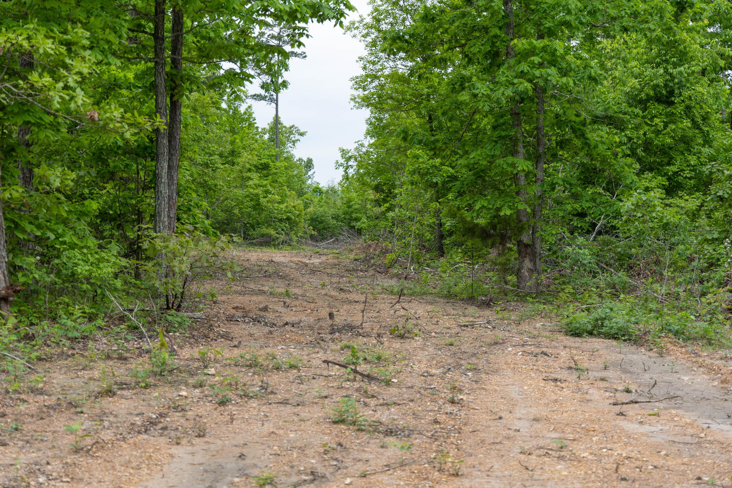 Sleepy Hollow Phase II Tract 89 photo 2