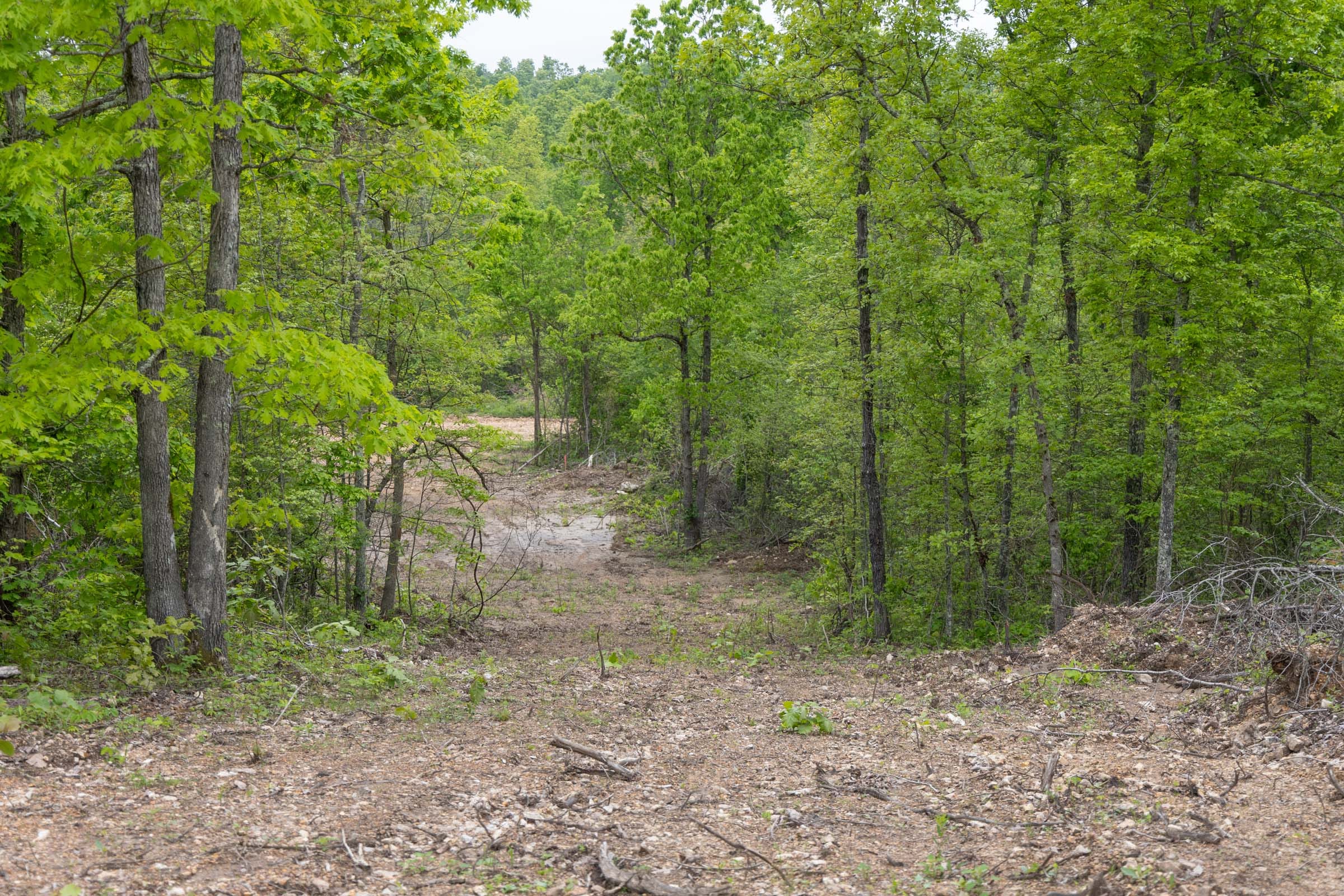 Sleepy Hollow Phase II Tract 89 photo 3