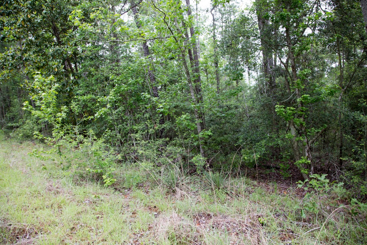 Rayburn Country Tract 287 photo 1