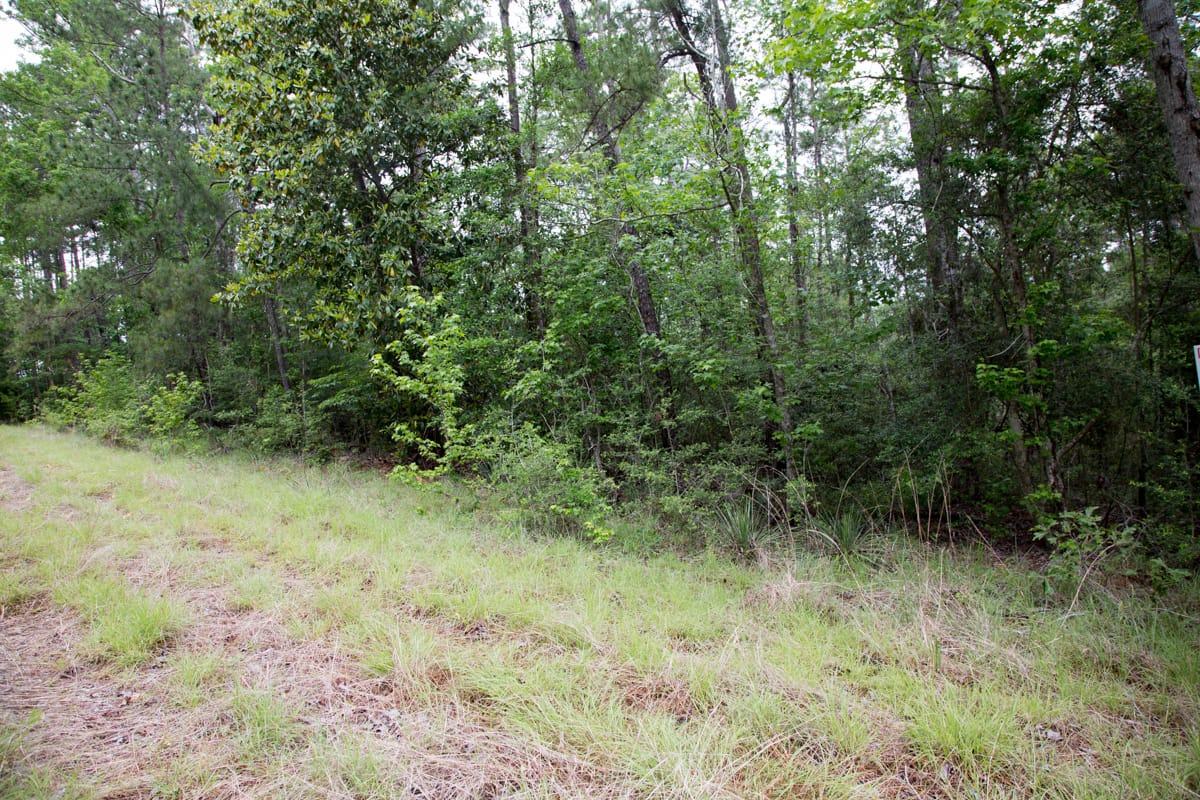 Rayburn Country Tract 287 photo 2