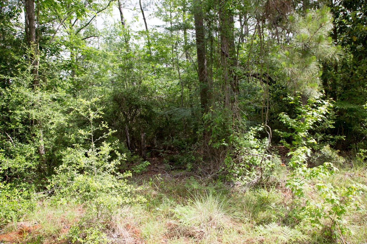 Rayburn Country Tract 287 photo 12