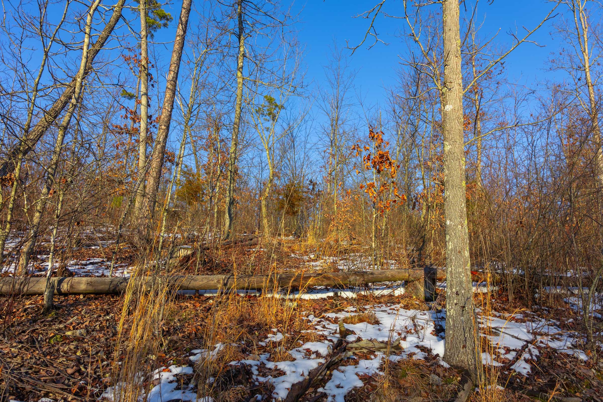 Sleepy Hollow Phase I Tract 31 photo 14