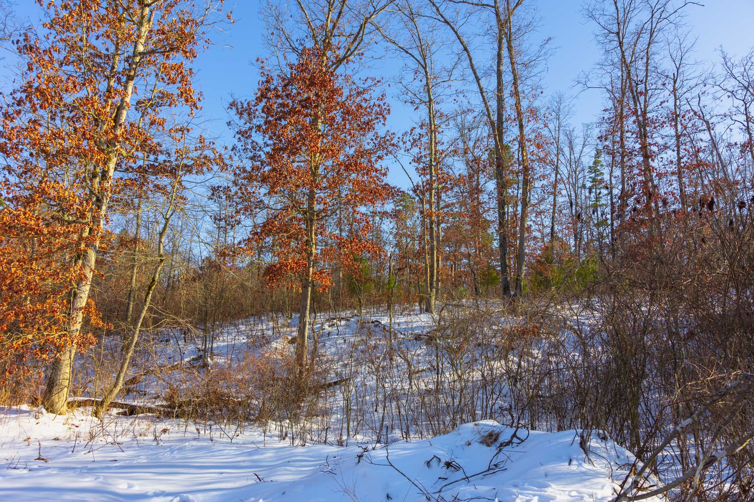 Sleepy Hollow Phase I Tract 31 photo 13